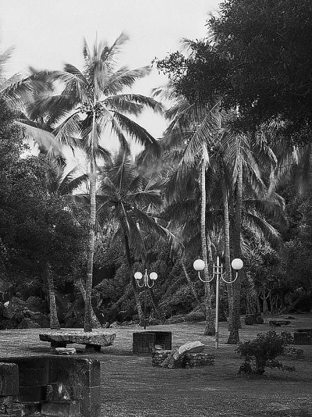Aire de Pique-nique à Grande-Anse
